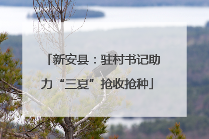 新安县：驻村书记助力“三夏”抢收抢种