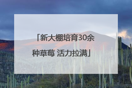 新大棚培育30余种草莓 活力拉满