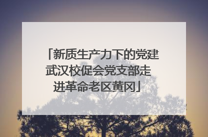 新质生产力下的党建 武汉校促会党支部走进革命老区黄冈