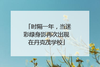 时隔一年，当迷彩绿身影再次出现在丹克茂学校