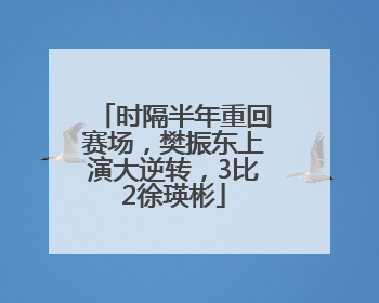 时隔半年重回赛场，樊振东上演大逆转，3比2徐瑛彬
