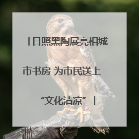 日照黑陶展亮相城市书房 为市民送上“文化清凉”