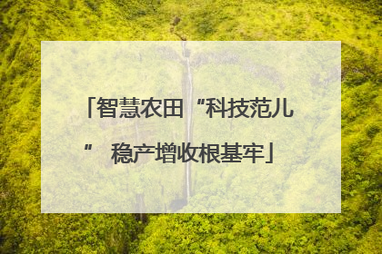智慧农田“科技范儿” 稳产增收根基牢