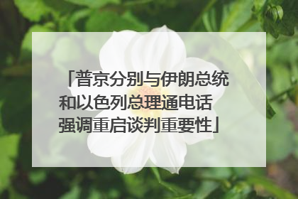 普京分别与伊朗总统和以色列总理通电话 强调重启谈判重要性