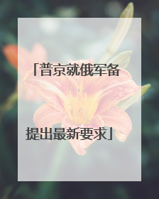 普京就俄军备提出最新要求