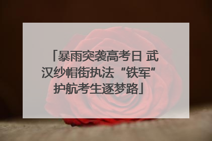 暴雨突袭高考日 武汉纱帽街执法“铁军”护航考生逐梦路