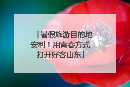 暑假旅游目的地安利！用青春方式打开好客山东