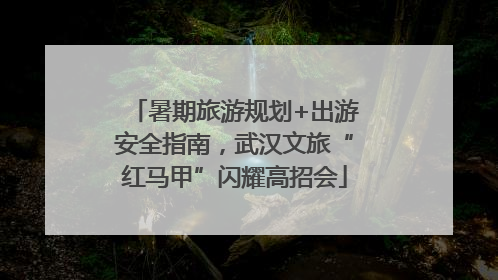暑期旅游规划+出游安全指南，武汉文旅“红马甲”闪耀高招会