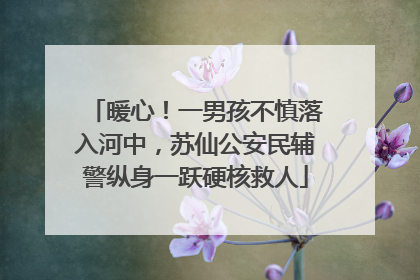 暖心！一男孩不慎落入河中，苏仙公安民辅警纵身一跃硬核救人