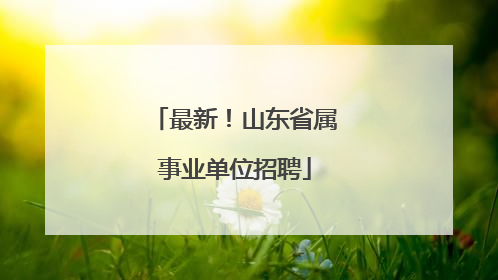 最新！山东省属事业单位招聘