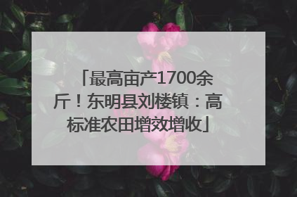 最高亩产1700余斤！东明县刘楼镇：高标准农田增效增收