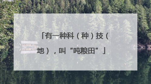 有一种科（种）技（地），叫“吨粮田”