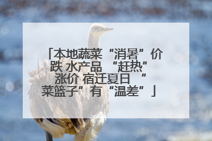 本地蔬菜“消暑”价跌 水产品 “赶热” 涨价 宿迁夏日 “菜篮子”有“温差”