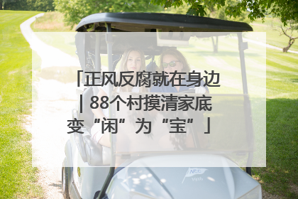 正风反腐就在身边｜88个村摸清家底变“闲”为“宝”