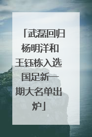 武磊回归 杨明洋和王钰栋入选 国足新一期大名单出炉