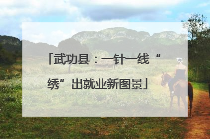 武功县：一针一线“绣”出就业新图景