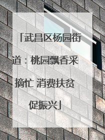 武昌区杨园街道：桃园飘香采摘忙 消费扶贫促振兴