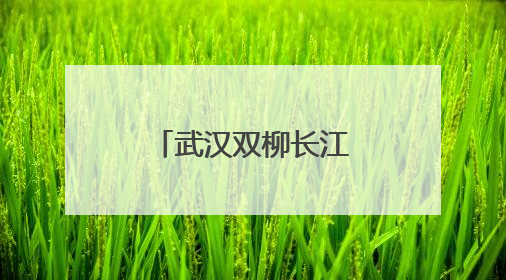 武汉双柳长江大桥主跨首片钢箱梁成功吊装