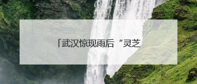 武汉惊现雨后“灵芝”，专家紧急提醒