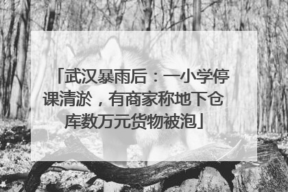 武汉暴雨后：一小学停课清淤，有商家称地下仓库数万元货物被泡