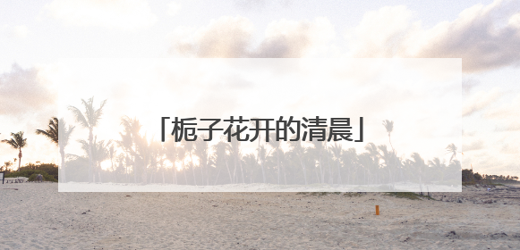 栀子花开的清晨