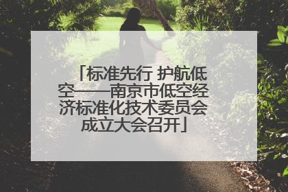标准先行 护航低空——南京市低空经济标准化技术委员会成立大会召开