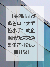 株洲市市场监管局“大手拉小手”助企赋能轨道交通装备产业链质量升级