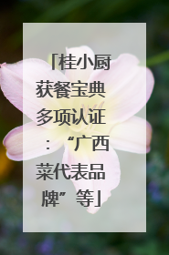 桂小厨获餐宝典多项认证：“广西菜代表品牌”等