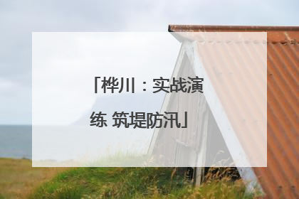 桦川：实战演练 筑堤防汛