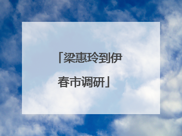 梁惠玲到伊春市调研