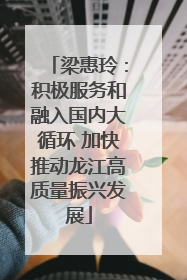梁惠玲：积极服务和融入国内大循环 加快推动龙江高质量振兴发展
