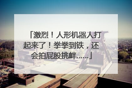 激烈！人形机器人打起来了！拳拳到铁，还会拍屁股挑衅……