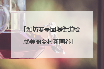 潍坊寒亭固堤街道绘就美丽乡村新画卷