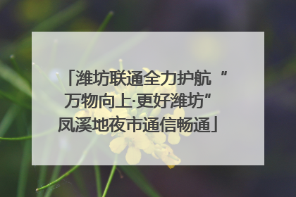 潍坊联通全力护航“万物向上·更好潍坊”凤溪地夜市通信畅通