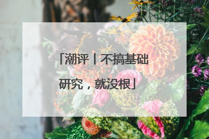 潮评丨不搞基础研究，就没根