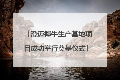 澄迈椰牛生产基地项目成功举行奠基仪式