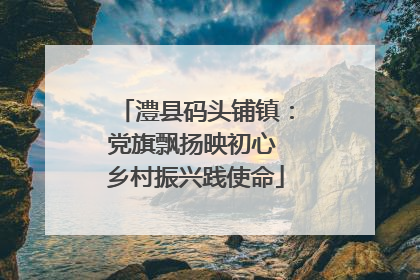 澧县码头铺镇：党旗飘扬映初心 乡村振兴践使命