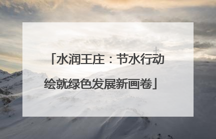 水润王庄：节水行动绘就绿色发展新画卷