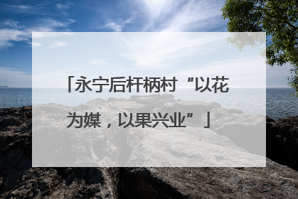 永宁后杆柄村“以花为媒，以果兴业”