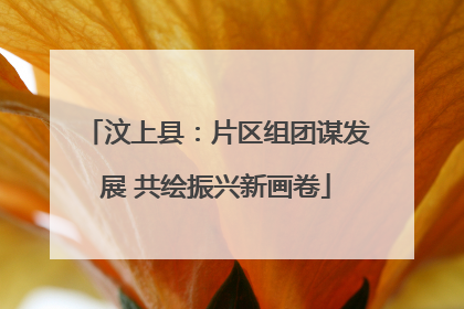 汶上县：片区组团谋发展 共绘振兴新画卷
