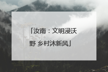 汝南：文明浸沃野 乡村沐新风