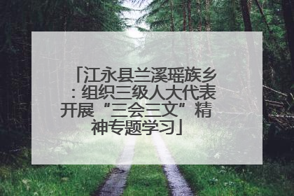 江永县兰溪瑶族乡：组织三级人大代表开展“三会三文”精神专题学习