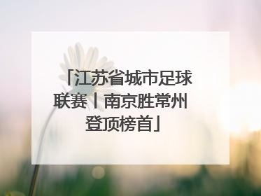 江苏省城市足球联赛丨南京胜常州 登顶榜首