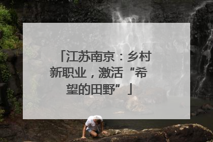江苏南京：乡村新职业，激活“希望的田野”