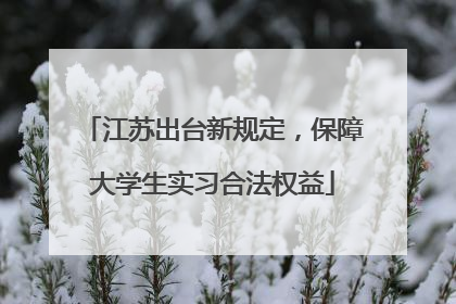 江苏出台新规定，保障大学生实习合法权益