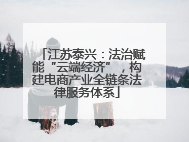 江苏泰兴：法治赋能“云端经济”，构建电商产业全链条法律服务体系