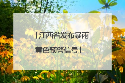 江西省发布暴雨黄色预警信号