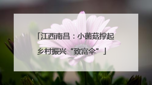江西南昌：小菌菇撑起乡村振兴“致富伞”