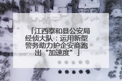 江西泰和县公安局经侦大队：运用新型警务助力护企安商跑出“加速度”