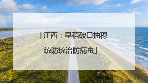 江西：早稻破口抽穗 统防统治防病虫